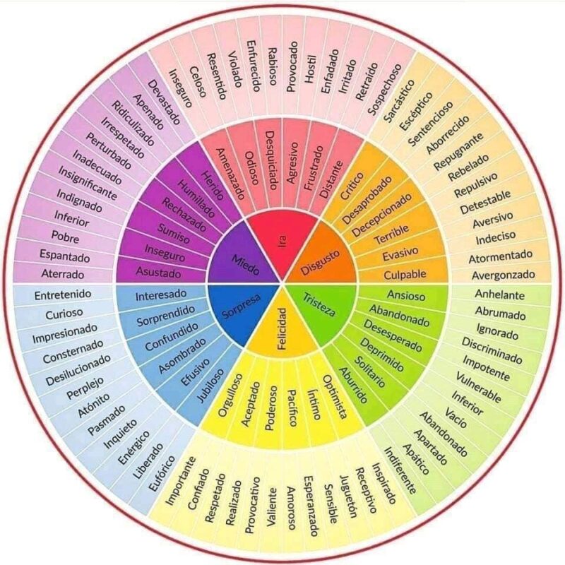 Que vino a enseñarnos COVID: conectar con las emociones